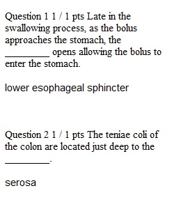 Lecture Quiz 7